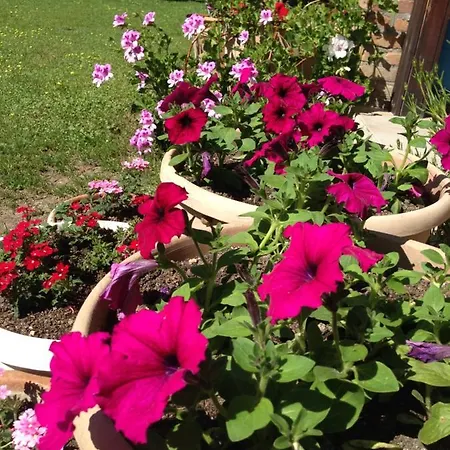 Nirvana Hotel de apartamente Göcek