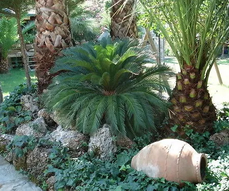 Hotel de apartamente Nirvana Göcek